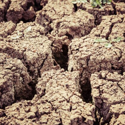 <trp-post-container data-trp-post-id='1'>What causes an earthquake? | Natural Disasters</trp-post-container>